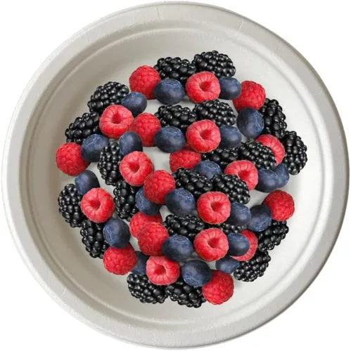 Vista 5 de Platos redondos 100% compostables [9 pulgadas - 125 unidades] Platos desechables a granel resistentes Platos reciclables blancos ecológicos