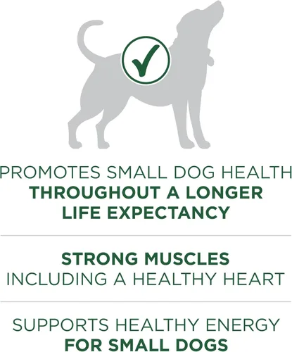 Vista 3 de Purina ONE Plus - Alimento seco para perros con fórmula de cordero y arroz de raza pequeña, bolsa de 3.8 libras