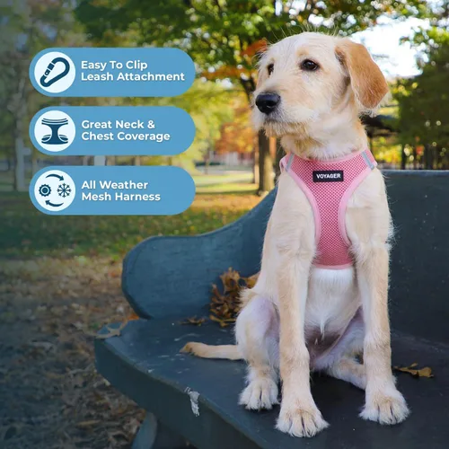 Vista 3 de Best Pet Supplies Voyager Step-In - Arnés de malla para perros, apto para todo tipo de clima, arnés tipo chaleco fácil de poner, para perros