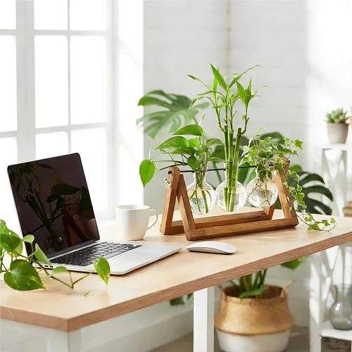 Vista 8 de Renmxj Estaciones de propagación de plantas con soporte de madera y 3 jarrones de bombilla de vidrio, terrario de plantas para plantas