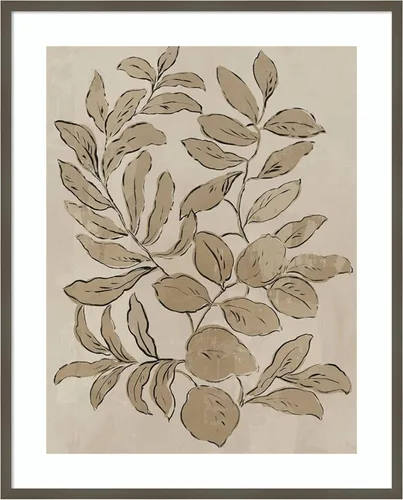 Amanti Art Framed Wall Art Print 41x33 Leaves Sketches I by Asia Jensen, Flowers Wall Art, Vintage Decor, X-Large Poster Painting Artwork for Living