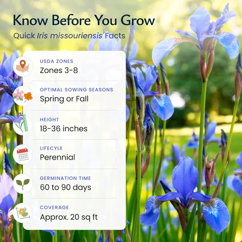 Vista 5 de Created By Nature Wild Iris Seeds, 400 semillas de flores perennes moradas