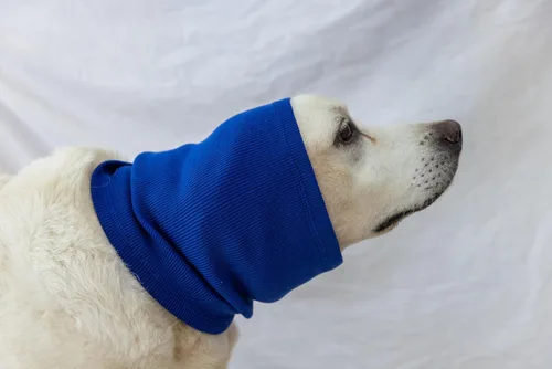 Vista 5 de Paquete de 6 fundas para orejas de perro, para el cuello del perro, protector para las orejas del perro, para mayor comodidad, alivio de la ansiedad