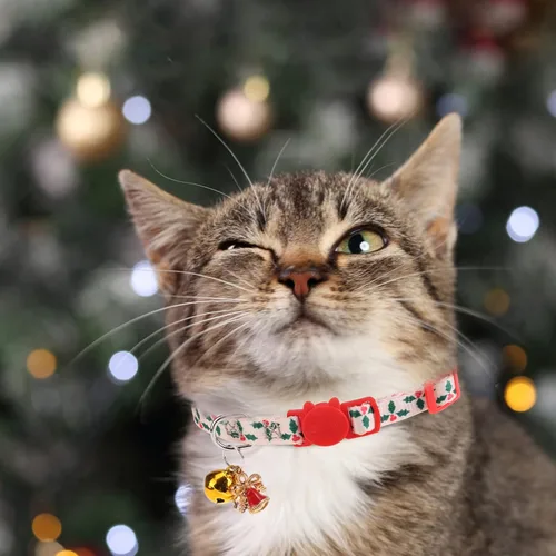 Vista 6 de Collares Navideños Separables para Gatos con Campana y Bonitos Colgantes - Paquete de 3 Collares de Seguridad Ajustables para Gatitos - Collar