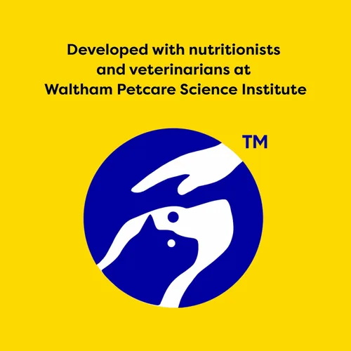 Vista 10 de Temptations Jumbo Stuff - Golosinas crujientes y suaves para gatos, sabor atún tentador, bolsa de 2.5 onzas (paquete de 12)