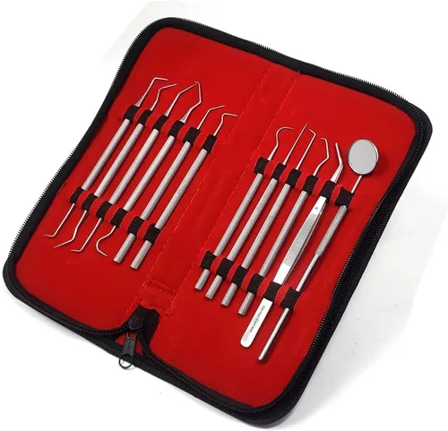 Juego de microsondas de precisión de acero inoxidable Combo, recto, simple, corto doble, doble largo, triple y puntas de gancho, longitud total de