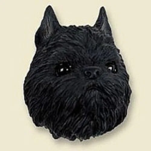 Vista 34 de Imán negro de Pomerania 4-Negro