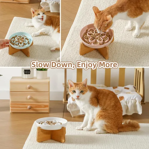 Vista 6 de PTOBER Cuenco elevado para gatos de alimentación lenta – Plato de melamina para gatos con soporte de bambú antideslizante – Tazón de alimentación