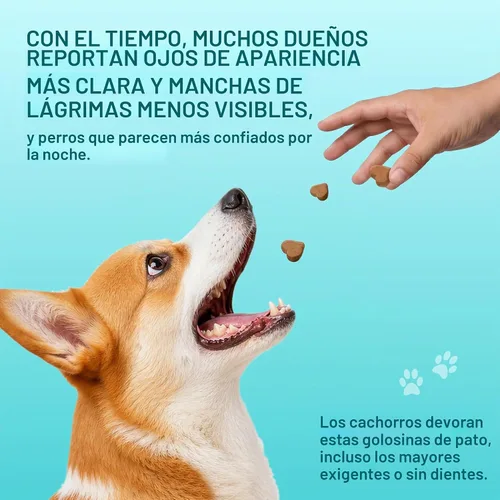 Vista 7 de Vitaminas oculares para perros – Soporte de visión, manchas de lágrimas, ojos brillantes, 120 masticables