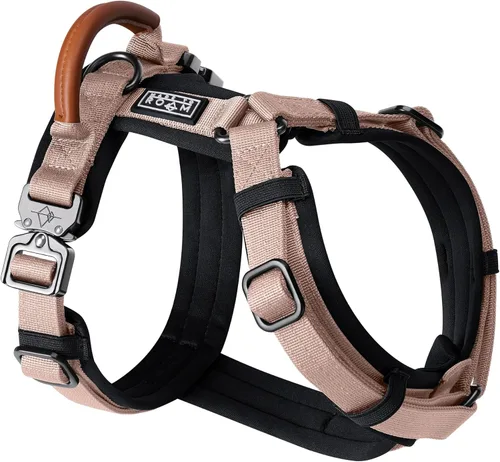 Vista 24 de MADE TO ROAM Arnés Explorer de alta calidad para perro, arnés en forma de Y con nailon duradero ajustable, acolchado suave, hebillas de metal