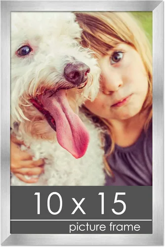 Vista 118 de Marco de madera de peltre plateado de 19 x 25 pulgadas con plexiglás acrílico UV, respaldo de tablero de espuma y accesorios incluidos