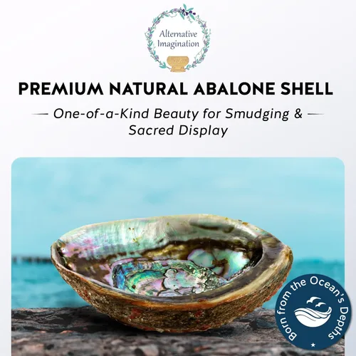 Vista 2 de Alternative Imagination Concha de abulón seleccionada a mano, 5 pulgadas o más grande, interior pulido de nácar - Plato a prueba de llama