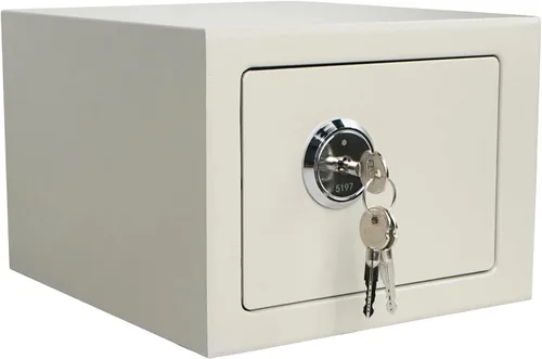 Luwint Caja de seguridad pequeña de acero con cerradura de llave, 0.3 pies cúbicos de seguridad para el hogar para montaje en pared, caja de bloqueo