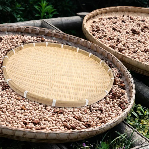 Vista 7 de NOLITOY Cesta tejida de bambú redonda para pan, cesta de comida plana de mimbre, cesta de frutas de mimbre poco profunda, cesta para servir