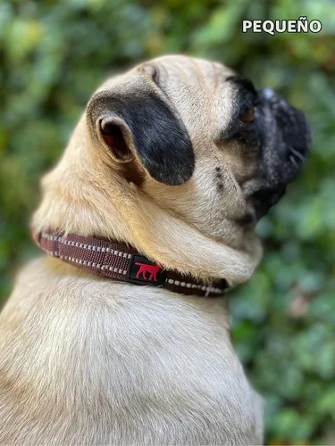 Vista 9 de Tuff Pupper Collar de perro resistente con asa Collar de nailon balístico resistente Collar de perro reflectante acolchado con hardware Marrón