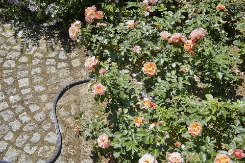 Vista 5 de GARDENA Manguera Liano de 49.2 ft (juego) Diámetro 0.512 in (1/2 ") Completa, Con Conexiones Originales