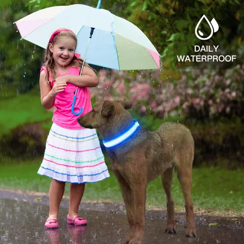 Vista 7 de YFbrite - Collar para perro con luz, collar de perro LED recargable por USB, luces súper brillantes para caminar por la noche, collar de perro