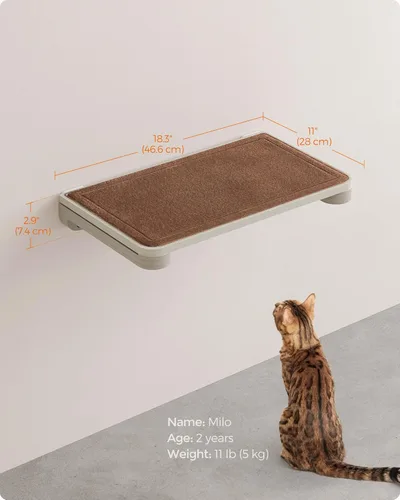 Vista 6 de Feandrea Clickat Collection - Estante de pared para gatos No.007, montaje extremadamente rápido, capacidad de expansión ilimitada, módulo