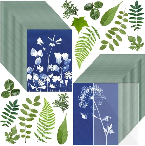 Vista 8 de Kit de papel de impresión solar, papel cianotipo, 24 hojas de papel de cianotipo con 1 hoja de panel acrílico, alta sensibilidad al sol