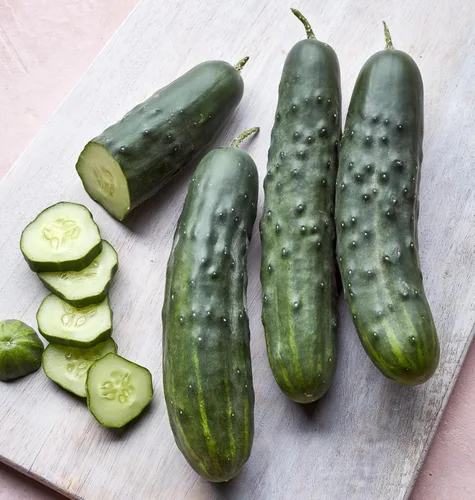 Vista 9 de Burpee 'Bush Champion' Semillas de Pepino para Rebanar, 60 semillas sin OGM, Apto para Contenedores, Exclusivo de Burpee