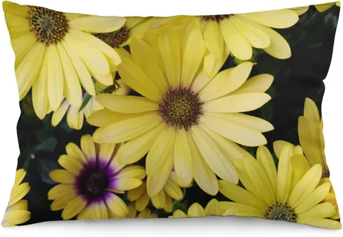 Vista 10 de Funda de almohada lumbar rosa con margaritas para exteriores, de 16 x 24 pulgadas, a la moda, con cremallera, diseño de impresión de doble cara