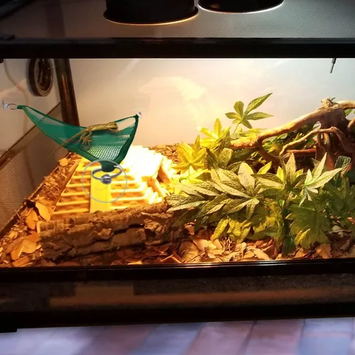 Vista 4 de Hamaca de lagartija de dragón barbudo, 2 unidades, hamaca Geckos, hamaca de malla transpirable para reptiles, adecuada para iguanas, ánoles, geckos
