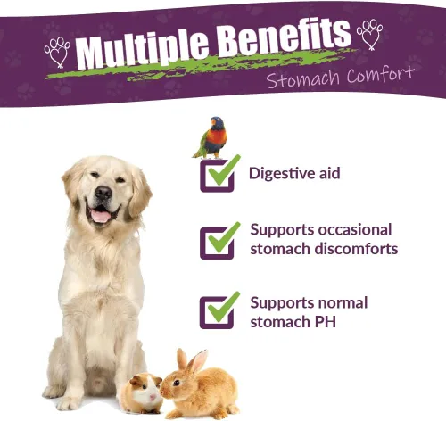 Vista 2 de Amber NaturalZ - ProTummy - Comodidad estomacal - para Petz - 1 onza