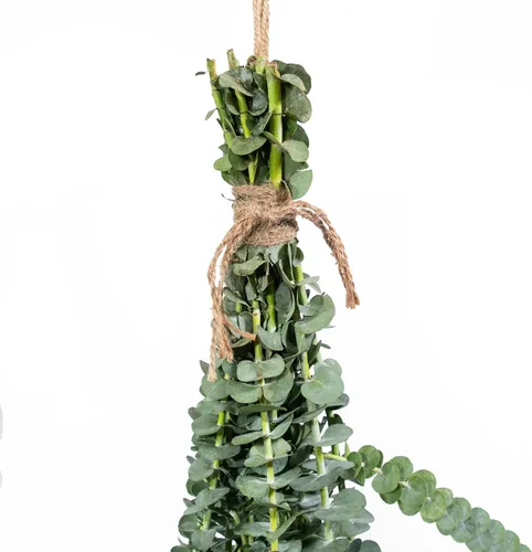 Vista 6 de De La Terre Manojo de eucalipto pulverulenta perfumado fresco para decoración, ducha y arreglos (azul bebé)