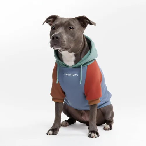 Vista 104 de Spark Paws - Suéter de punto para perro, ultra suave y cálido, suéter de invierno para perros pequeños, medianos y grandes, ajuste elástico