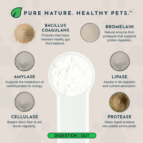Vista 3 de Animal Essentials Enzimas vegetales y probióticos - Suplemento de absorción de nutrientes digestivos para perros y gatos, mezcla de enzimas