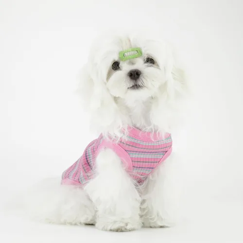 Vista 8 de Eleva la comodidad y la moda de tu mascota chaleco de algodón 100% acanalado para perros de razas pequeñas como chihuahuas, yorkies y cachorros.