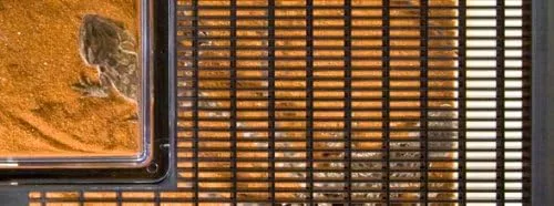 Vista 2 de Exo Terra Faunarium, Terrario de reptiles de plástico, Mini, PT2250