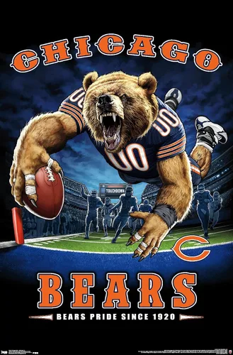 Vista 9 de Trends International NFL Chicago Bears - Póster de pared de End Zone 17, 14.725 x 22.375 pulgadas, versión enmarcada de madera de granero Versión