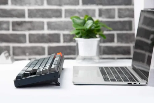 Vista 8 de Keychron K8 Tenkeyless Teclado mecánico inalámbrico para Mac, Bluetooth RGB retroiluminación multitarea tipo C con cable TKL Gaming Keyboard