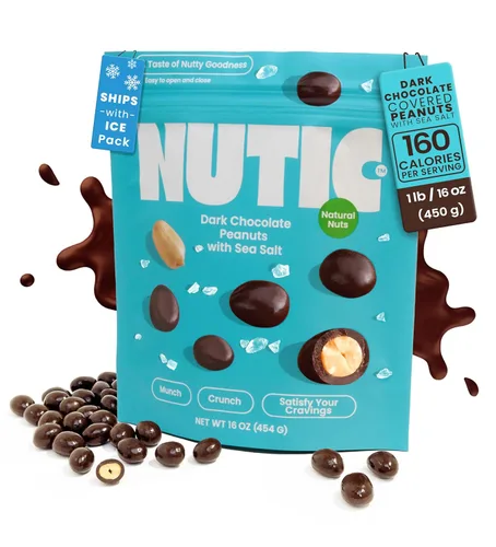 Nutic Cacahuetes cubiertos de chocolate oscuro con sal marina, 1 libra, aperitivo gourmet de lujo ideal para los amantes del chocolate negro,