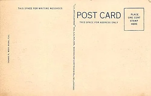 Alligator Alligator Farm Miami, Florida, USA Unused