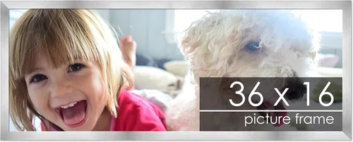 Vista 245 de Marco de madera de peltre plateado de 19 x 25 pulgadas con plexiglás acrílico UV, respaldo de tablero de espuma y accesorios incluidos