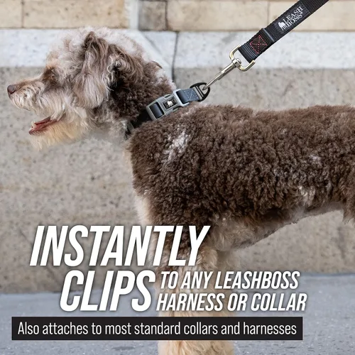 Vista 7 de Leashboss entrenador largo, correa de nailon de entrenamiento para perros, 1 pulgada con correa de almacenamiento., Negro