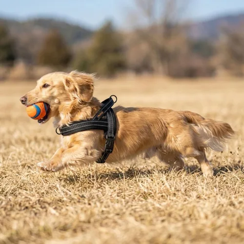 Vista 2 de Didog Arnés sin tirones para perro, con acolchado de malla suave, reflectante y de ajuste rápido, ligero, chaleco con correa para perro, fácil