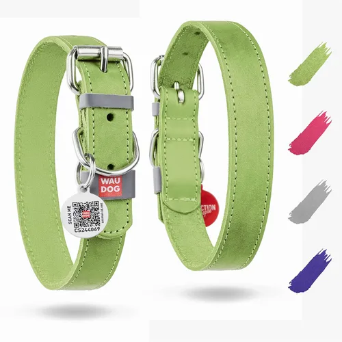 Vista 22 de WAUDOG Collar de cuero de larga duración para perros grandes, medianos y pequeños – Collares clásicos ajustables para cachorros de raza grande