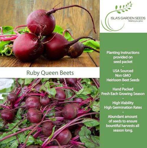 Vista 2 de Semillas de remolacha roja "Ruby Queen" para plantar, más de 100 semillas tradicionales por paquete, semillas de jardín de Isla