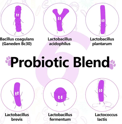 Vista 3 de Vitaminas multivitamínicas para perros, suplementos multivitamínicos para perros, vitaminas diarias para perros, probióticos masticables