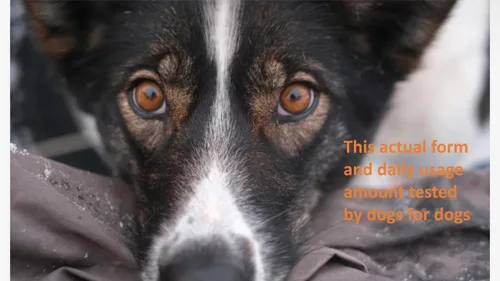 Vista 7 de kril Suplemento de salud de aceite de krill antártico para perros y gatos, líquido de 4 onzas con QRILLPet ASTA Omega Plus, fórmula de alta