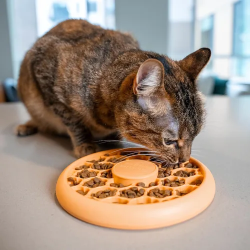 Vista 8 de Catstages Alimentador lento para gatos