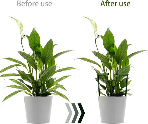 Vista 2 de 12 Pack Plant Support Stakes with 24 Pcs Clips, Half Round Ring Plastic Cage Holder Flower Pot Climbing Trellis for Small Vegetable,Indoor Plants