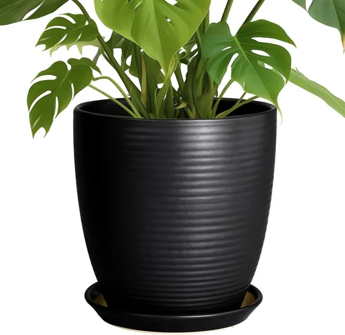 Vista 9 de Macetas de cerámica de 6 pulgadas para plantas, macetas de cerámica con orificio de drenaje y platillo, maceta para plantas de interior, maceta