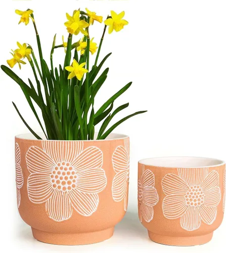 Vista 22 de Succulent Pots Terracotta, 6 Inch Plant Pot for Plants with Drainage Hole, Ceramic Planter Mushroom Pattern, Round Flower Pots for Indoor Outdoor