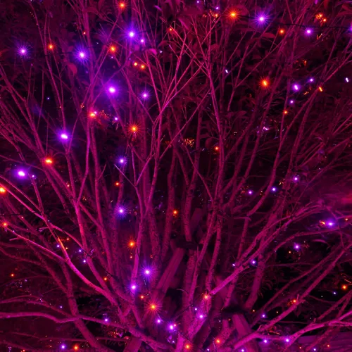 Vista 6 de Dazzle Bright - Guirnalda de luces para Halloween, 300 LED, 100 pies, 8 modos de iluminación, decoraciones para carnaval, jardín, exteriores y patio