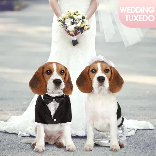 Vista 5 de Kuoser Esmoquin para perro, traje de boda para perro con pajarita, disfraz formal para perros, esmoquin para mascotas, fiesta de boda, cumpleaños
