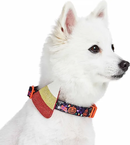Vista 7 de Blueberry Pet Collar de perro ajustable de maíz dulce de Halloween con accesorio desmontable con purpurina, pequeño, cuello de 12 a 16 pulgadas